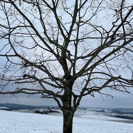 维朔芬Eifel-Bau-Traum Schlich别墅 外观 照片